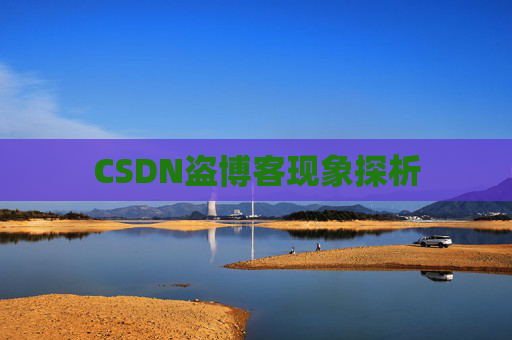 CSDN盗博客现象探析 CSDN盗博客现象探析